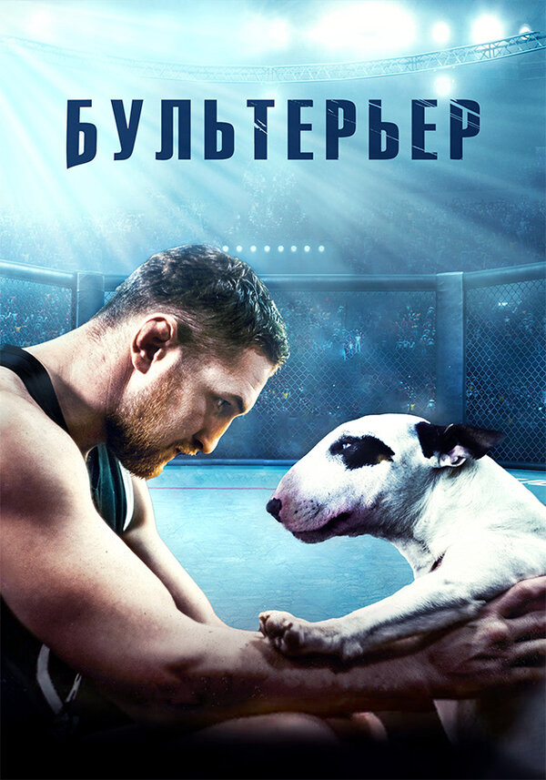 Бультерьер - постер